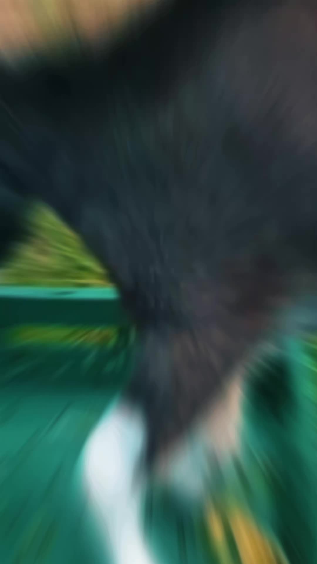 @🦚🆃𝓲𝓮𝓻🅿𝓪𝓻𝓴🆃𝓸𝓴🦚
