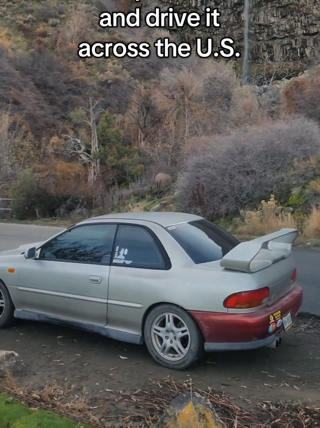 @tofu_4agze