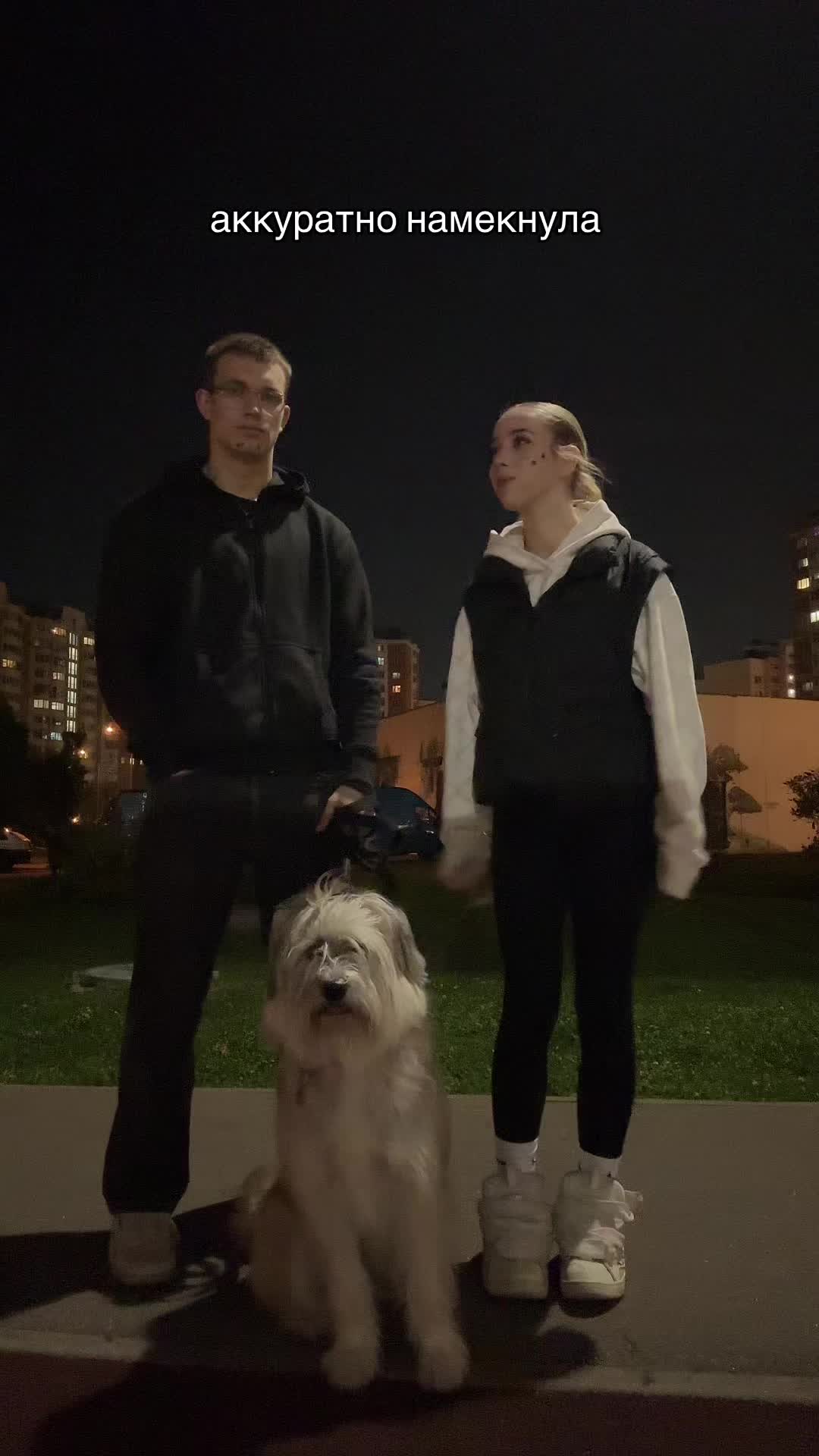 @стиша фак 🦫