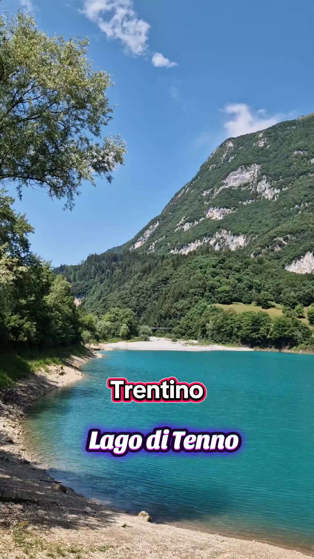 @luca amb
