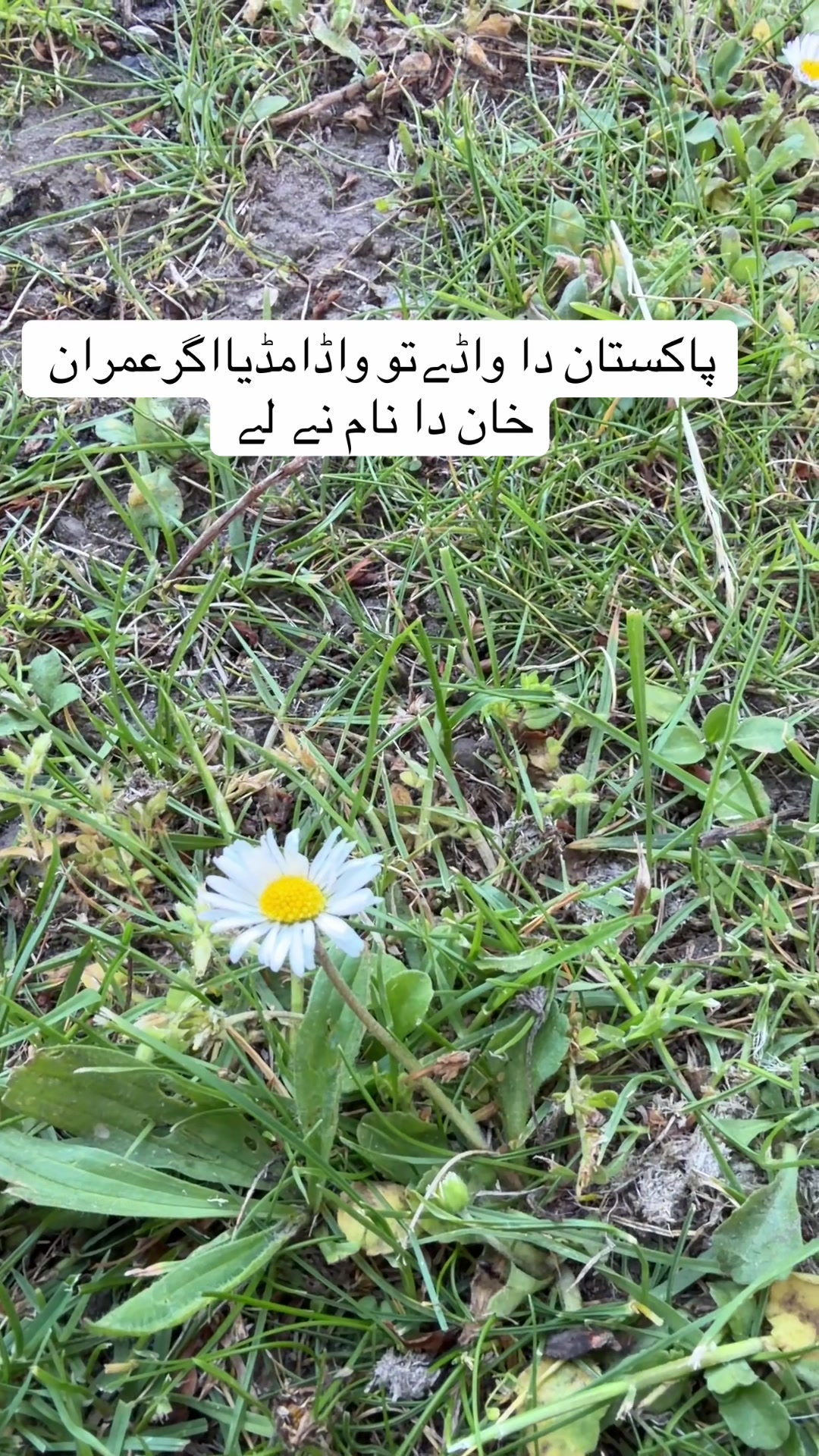 @Nasir87