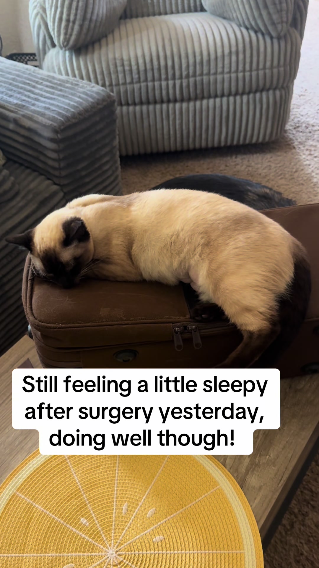 @SkippyJosAdventures
