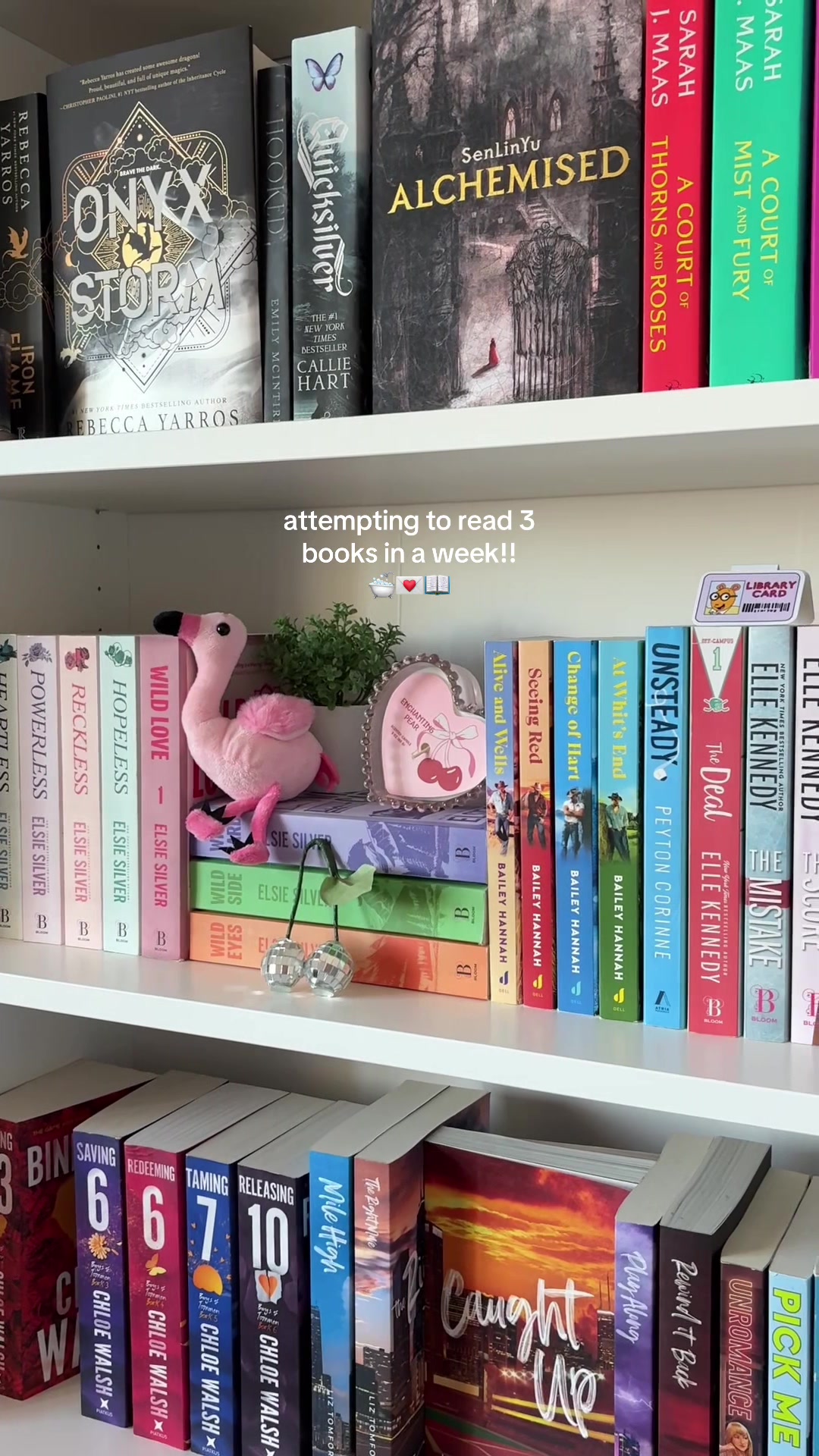 @areads..luv 💌