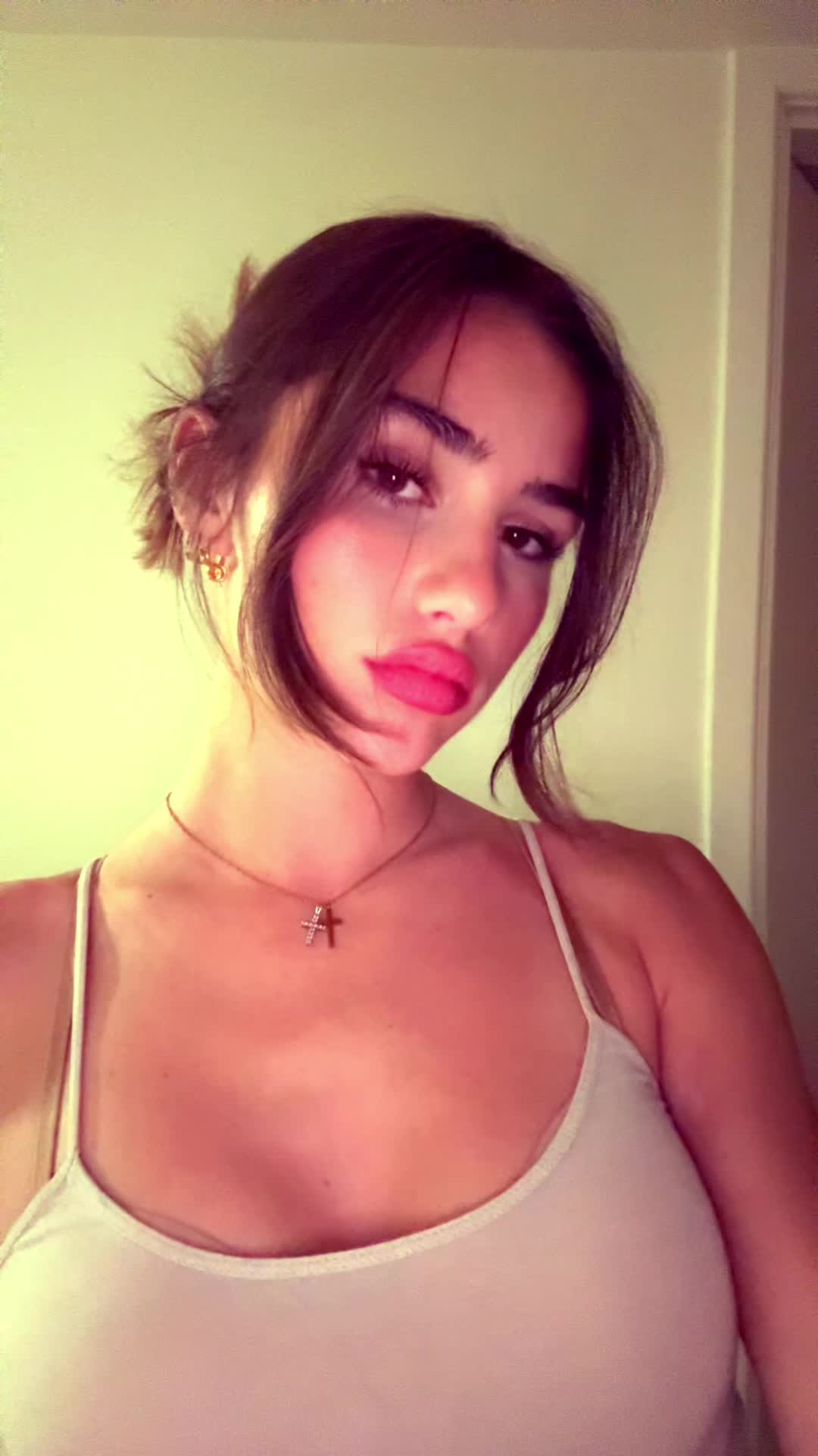 @charlotte.dmd