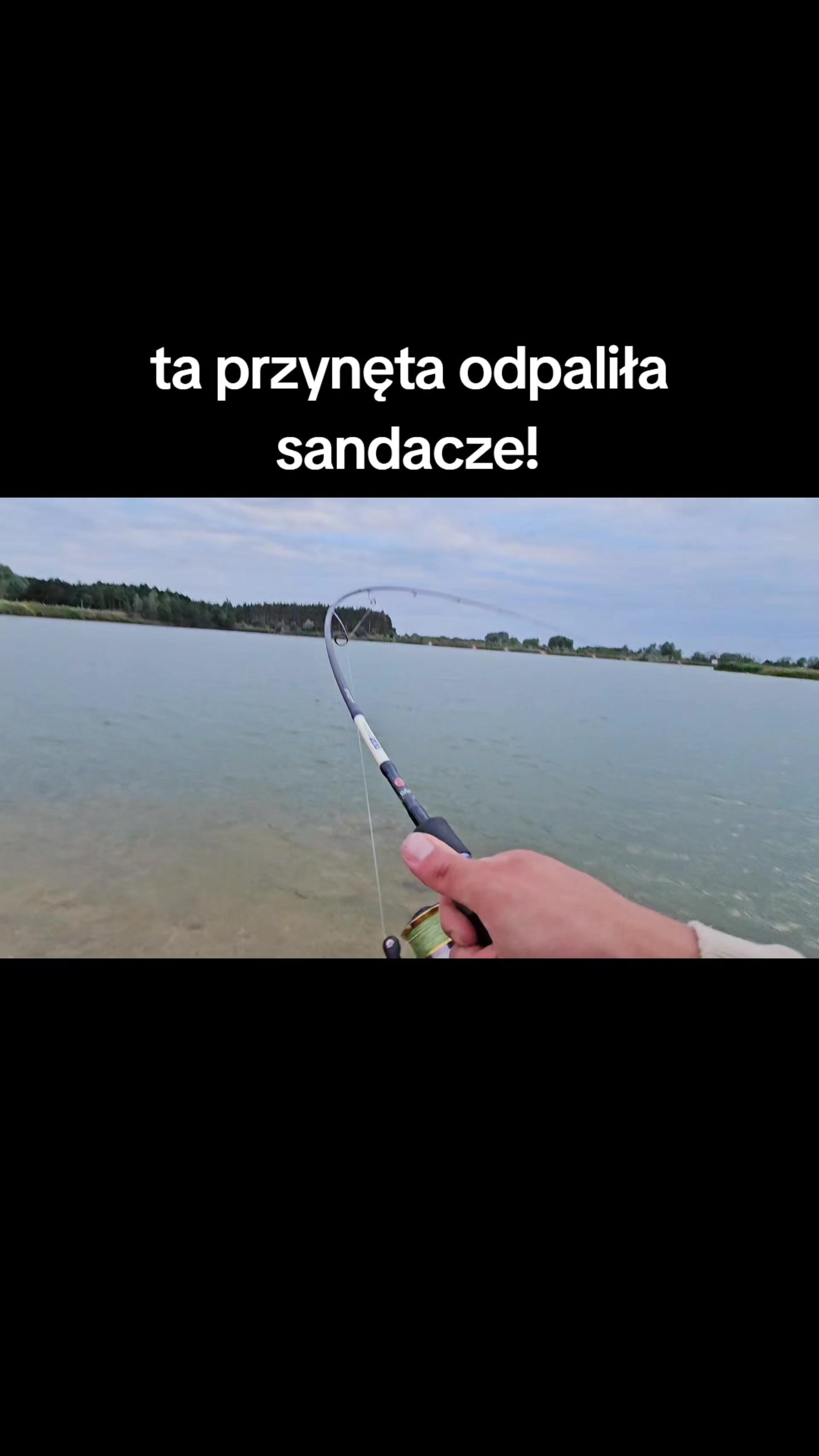 @mfly_lures