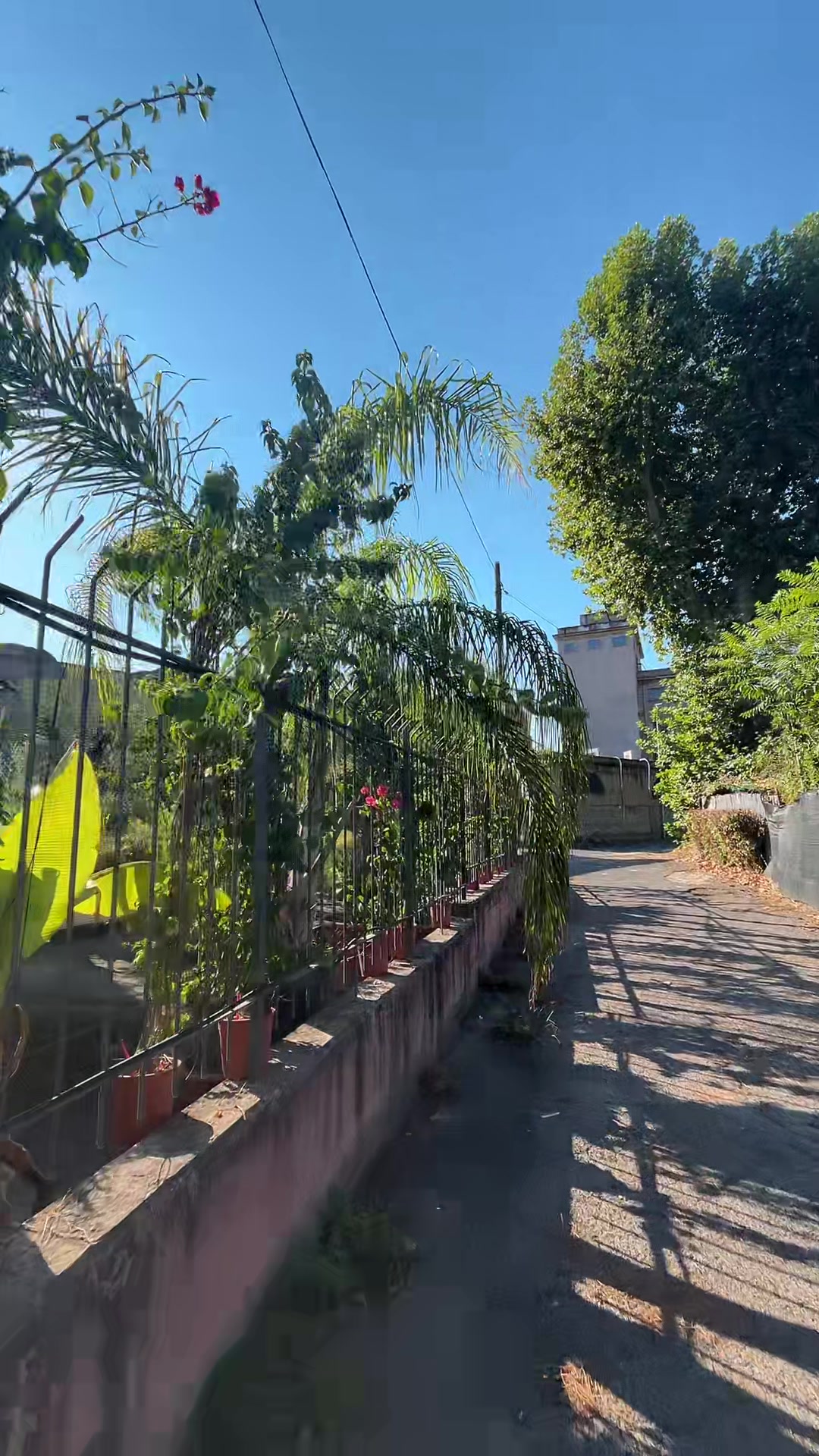 @vivaioanticogarden