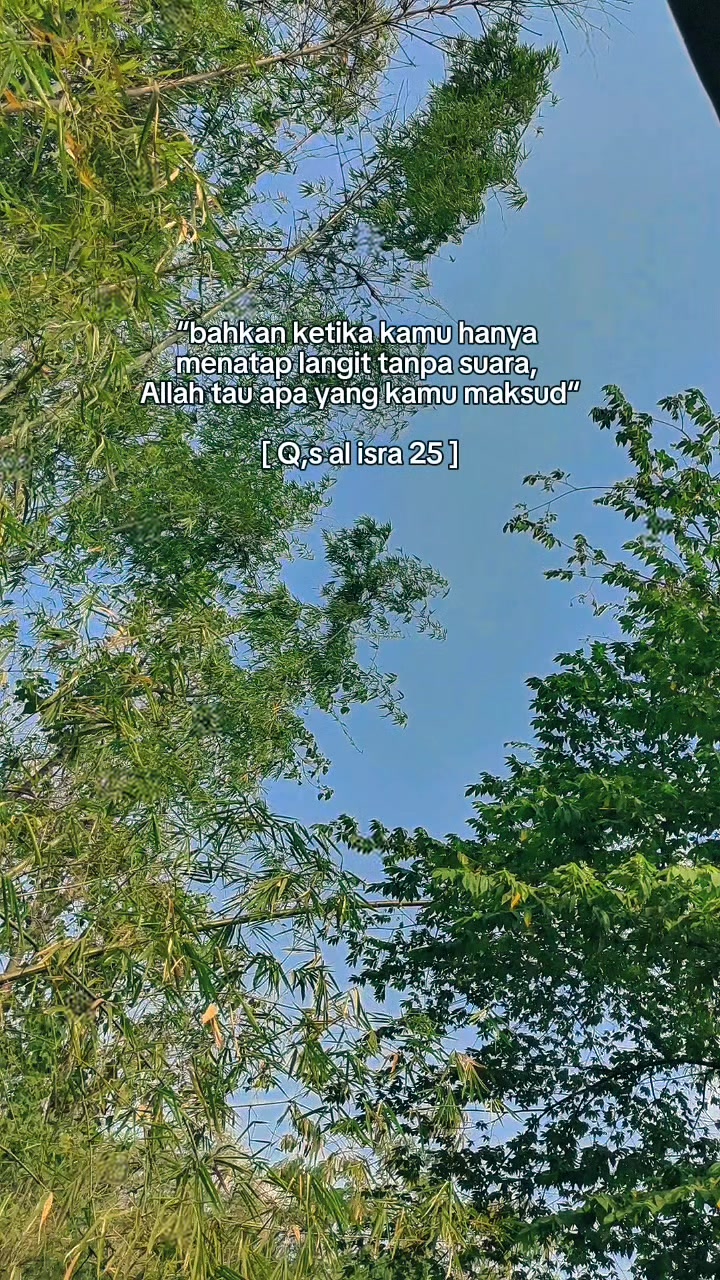 @nia.qisthi
