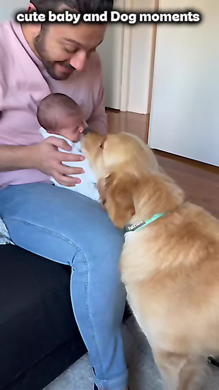 @dogmomentsdaily