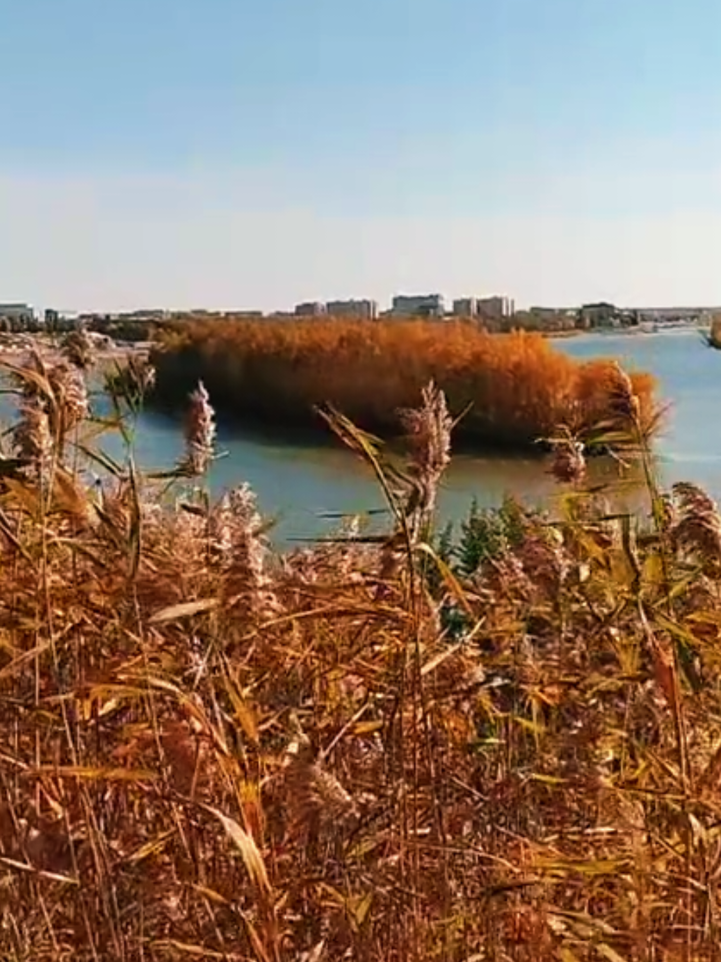 @pavlodar_yura