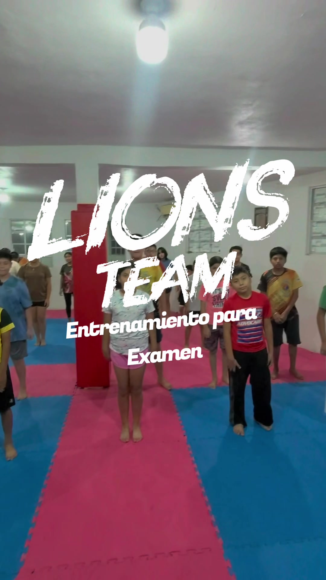 @taekwondolionsteam