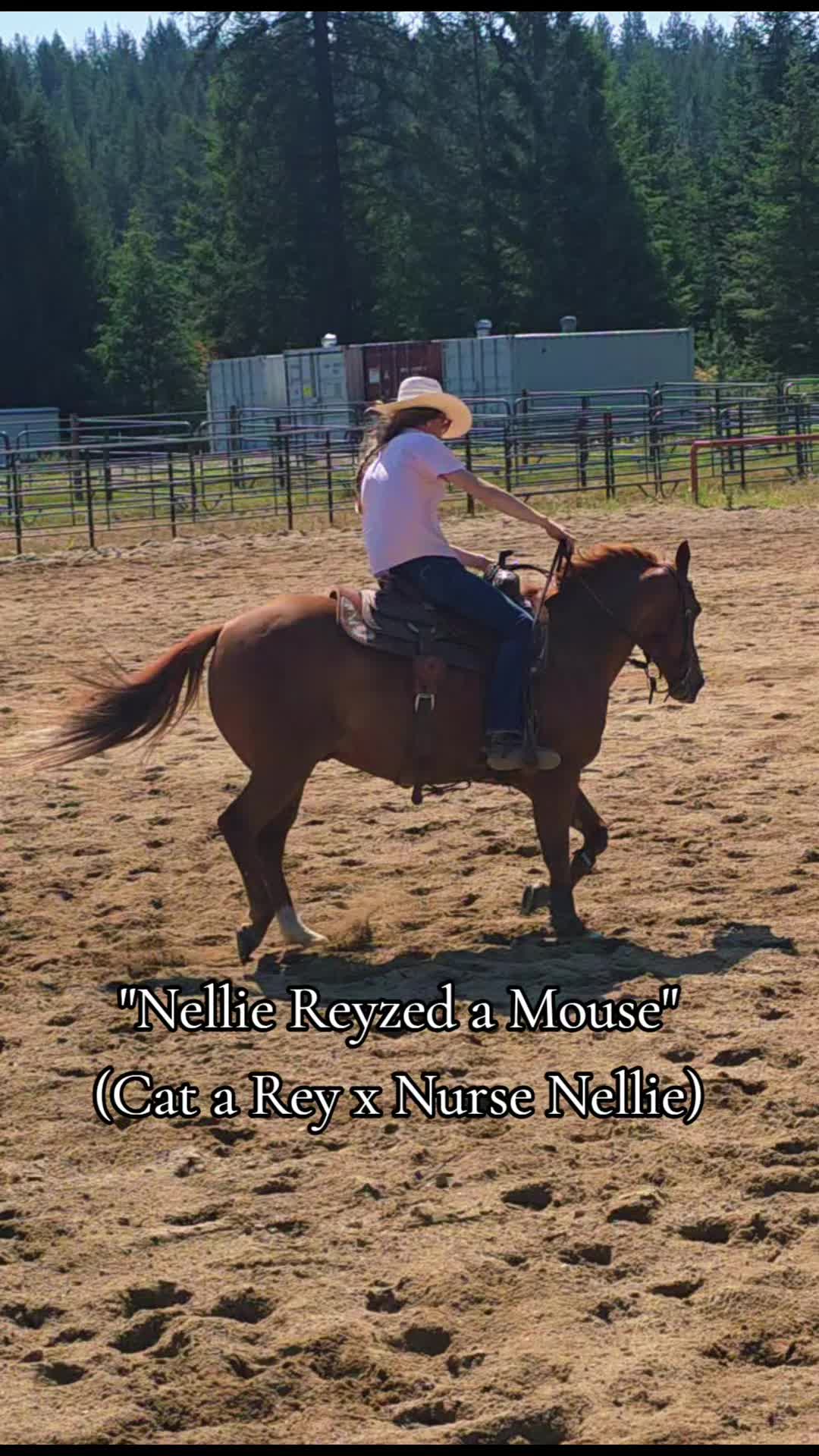 @🐴 ColdMountainRanch 🏇