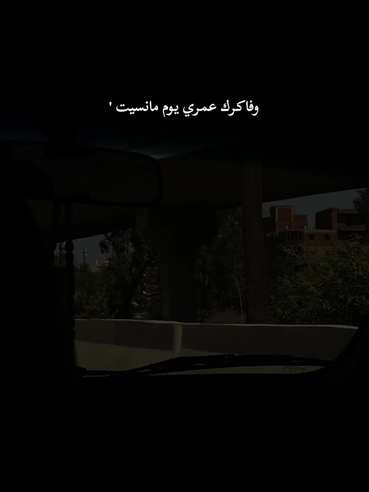 @shahd nassar