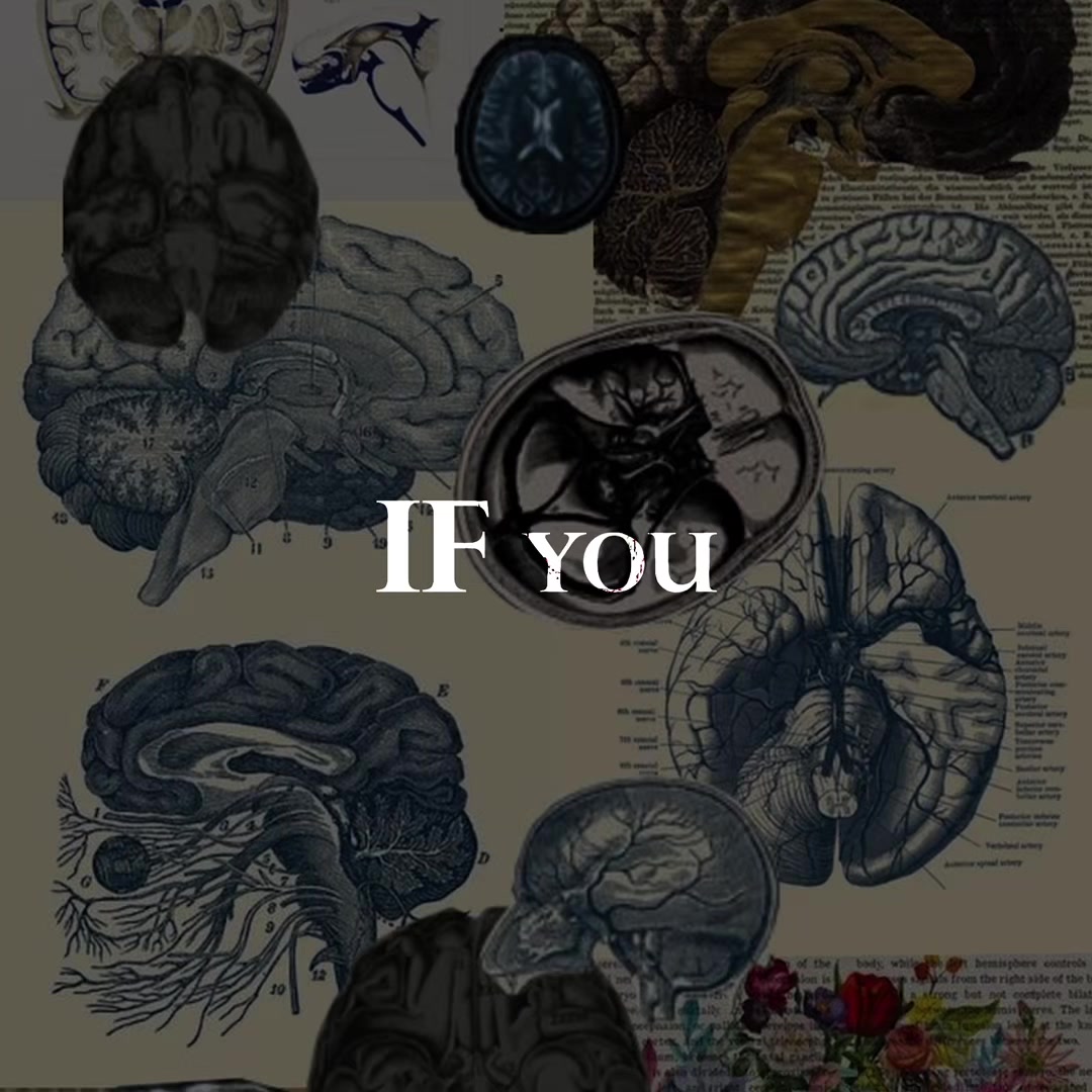 @MindTrace