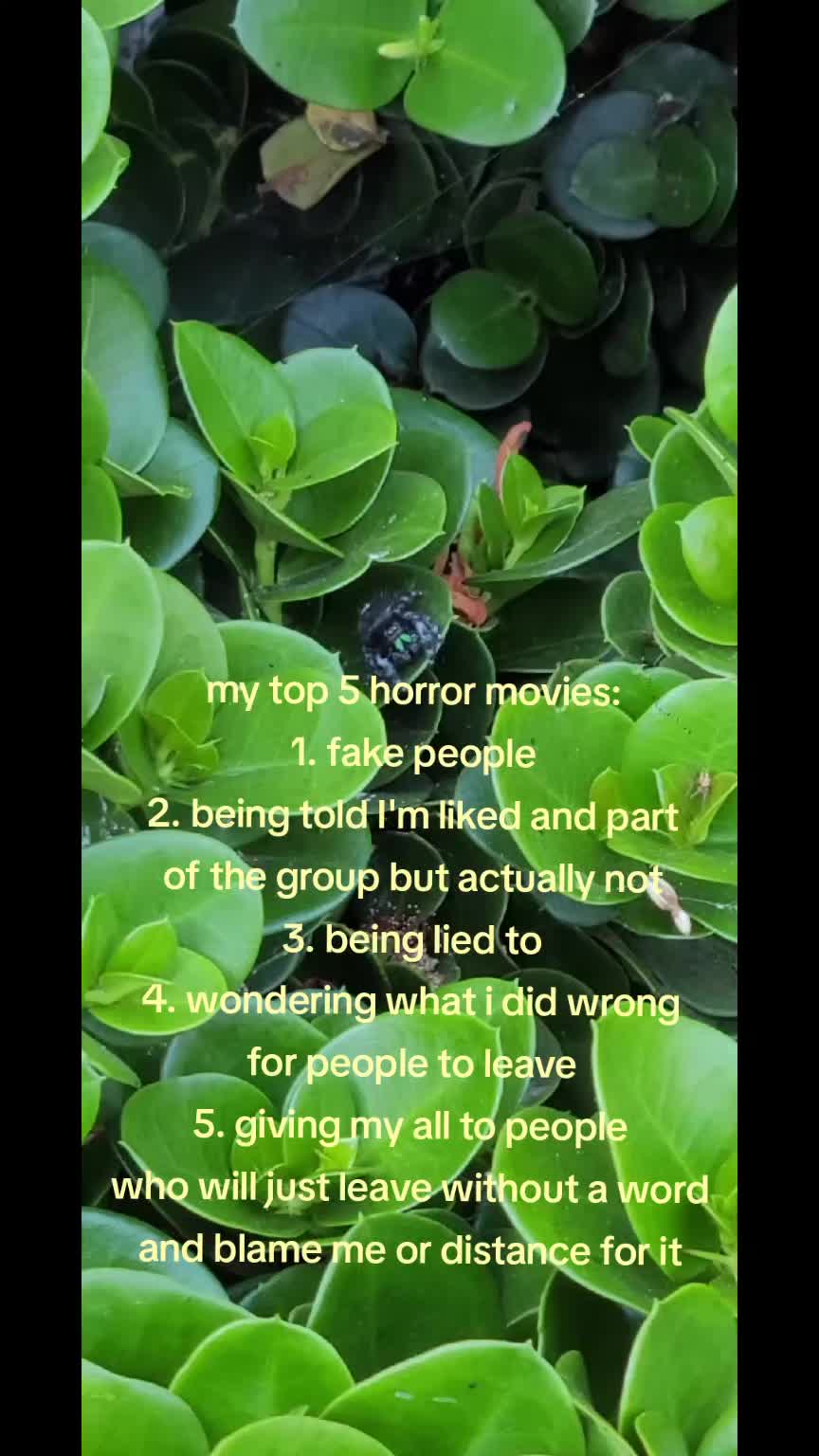 @\&bull;.&bull;/
