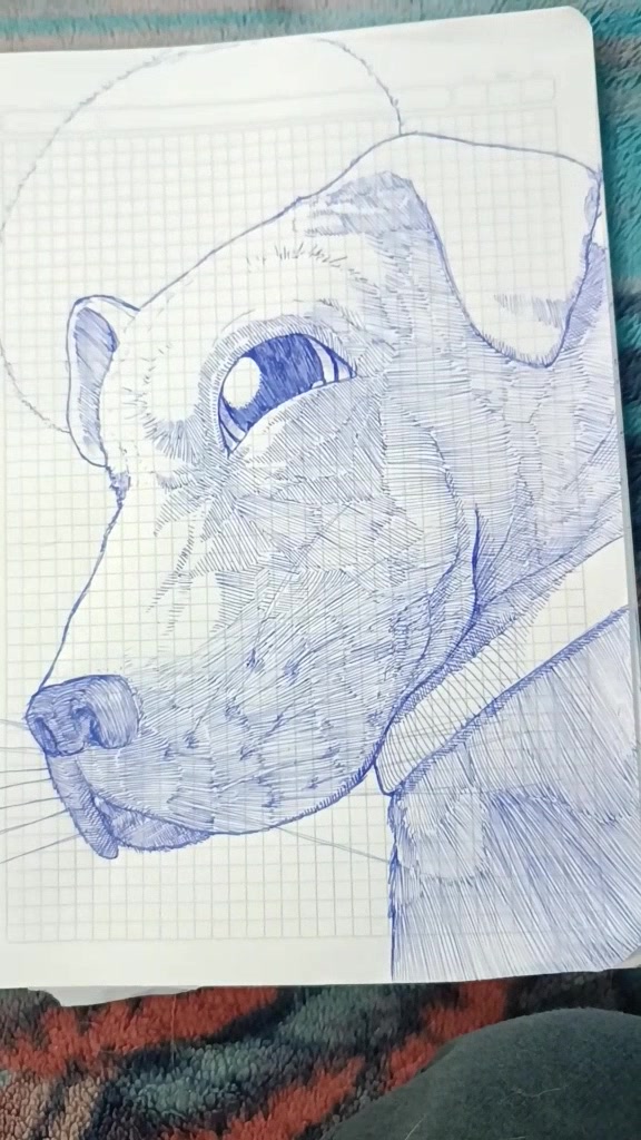 @damiandiaz