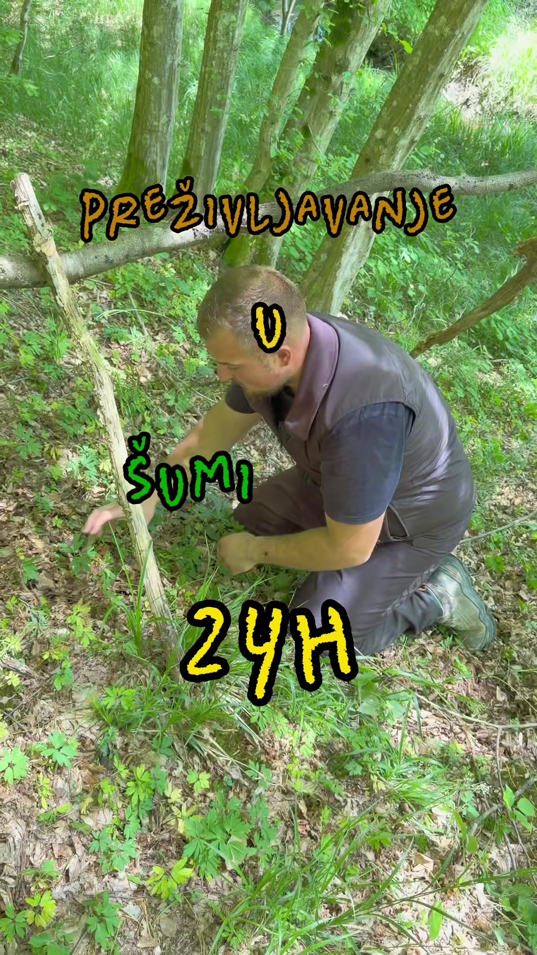 @Ivaawho