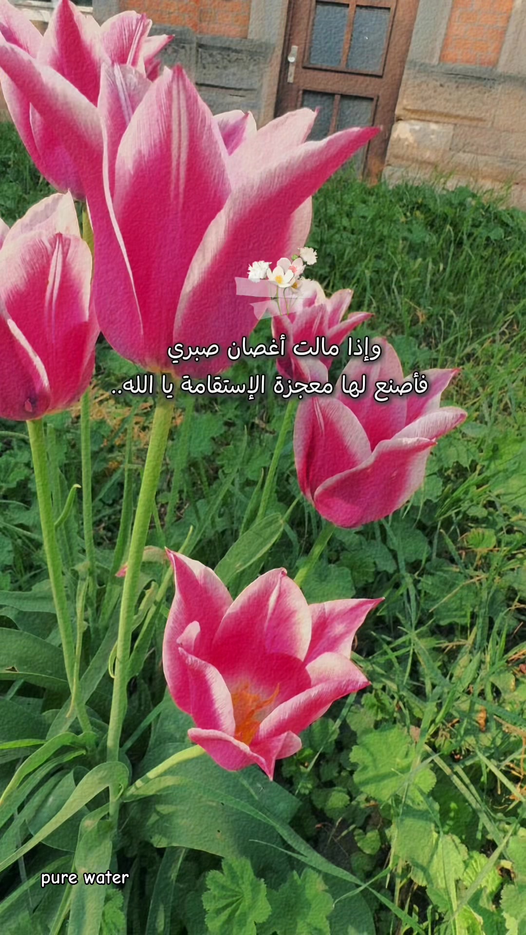 @Rawan A
