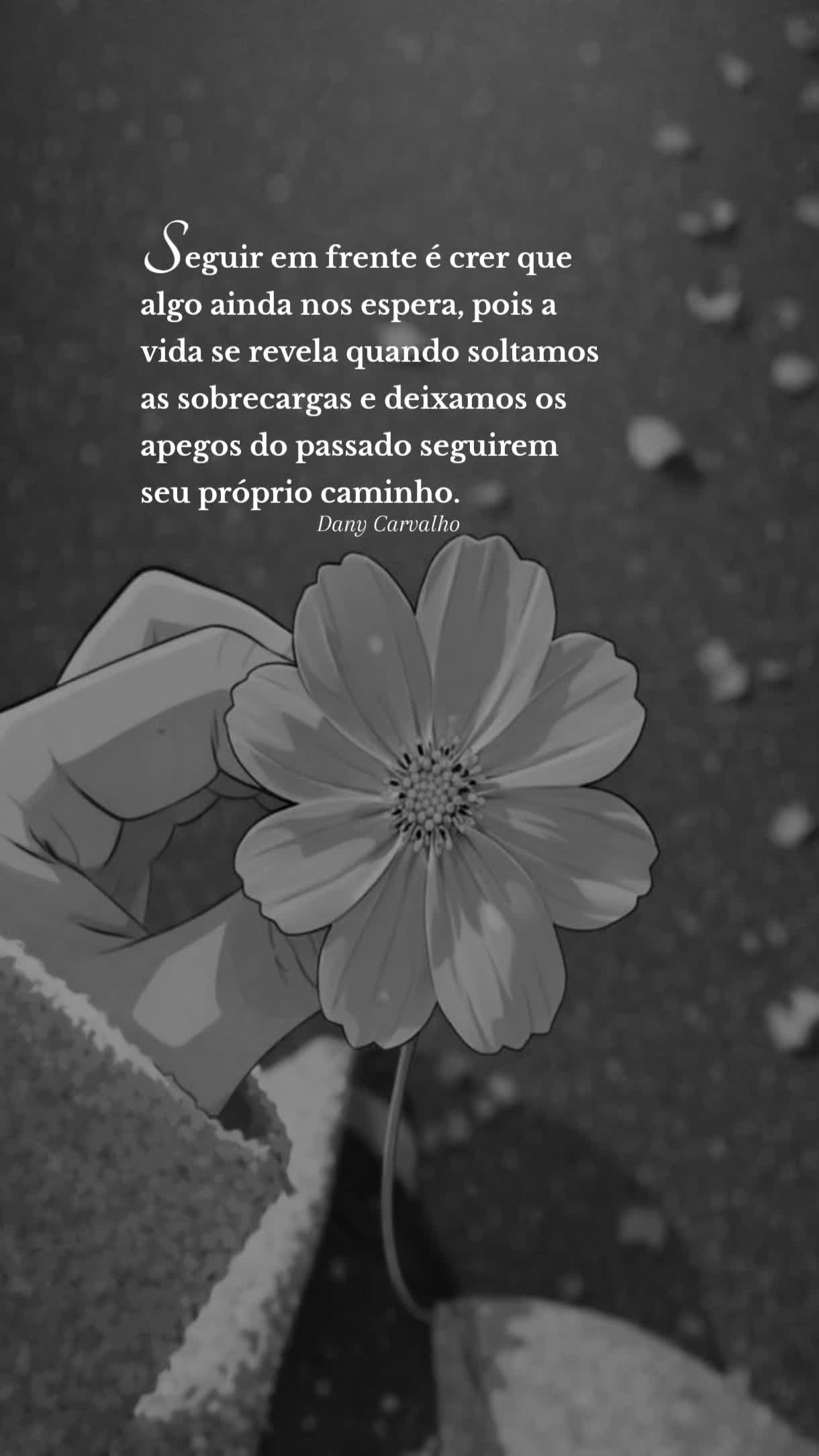 @Dany Carvalho✍️