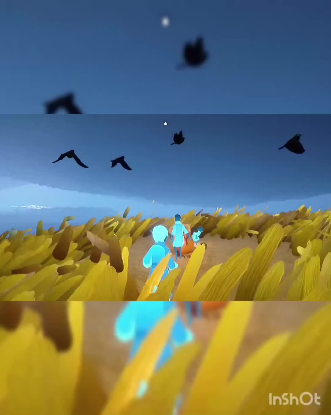 @Salma Khan