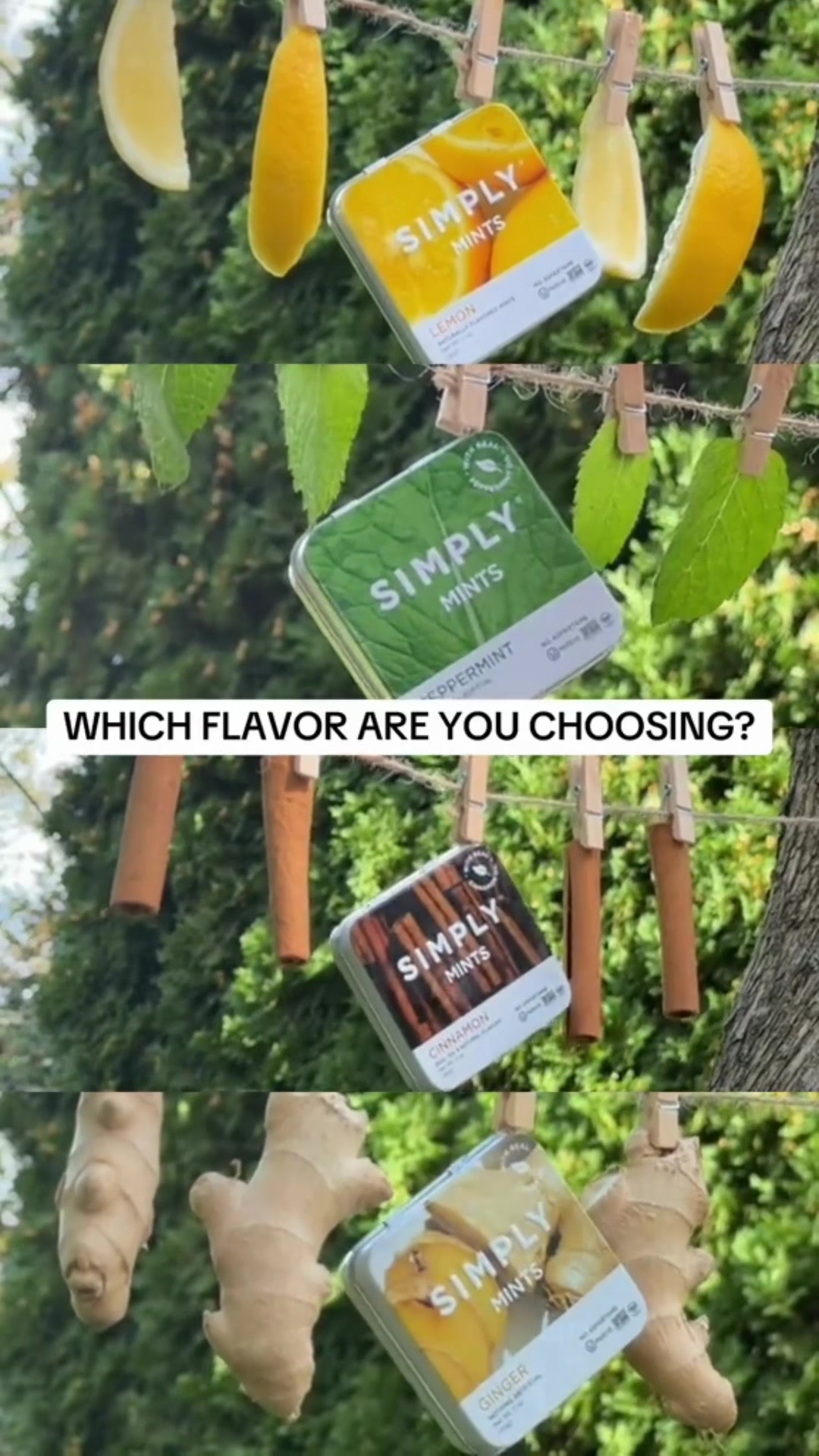 @Simply Gum