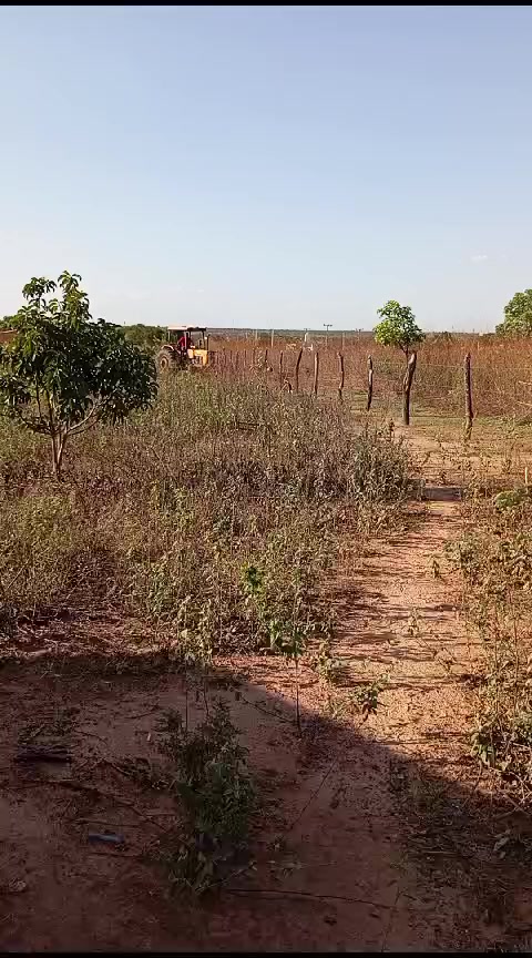 @Uedmateus | Advogado