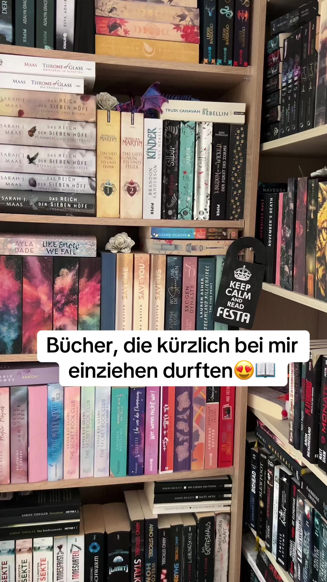 @Cats & Books🐈📖