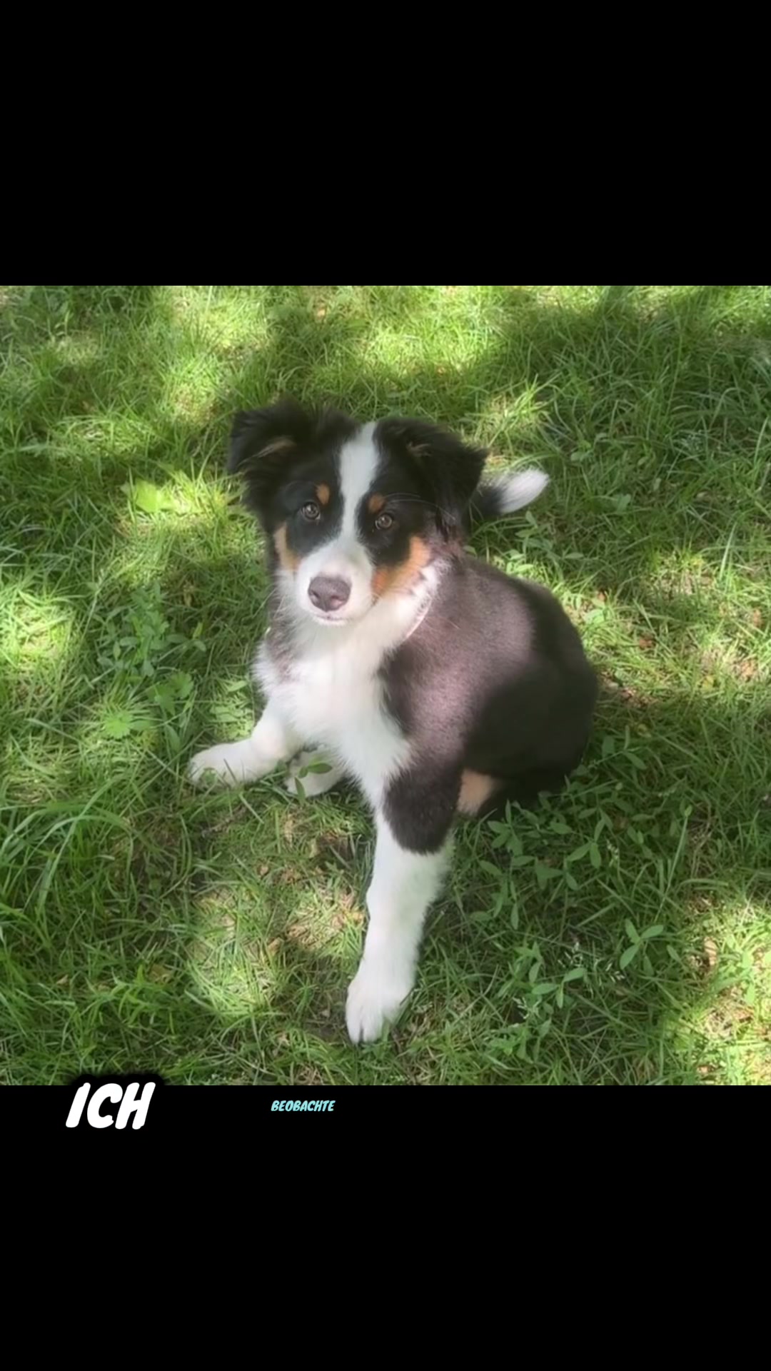 @🐕Di Ana🐕