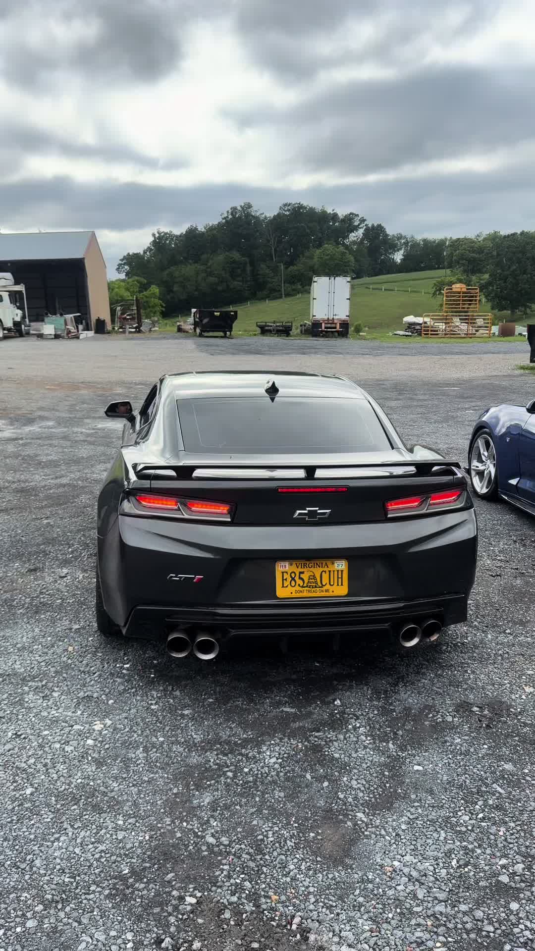 @LT1._ED