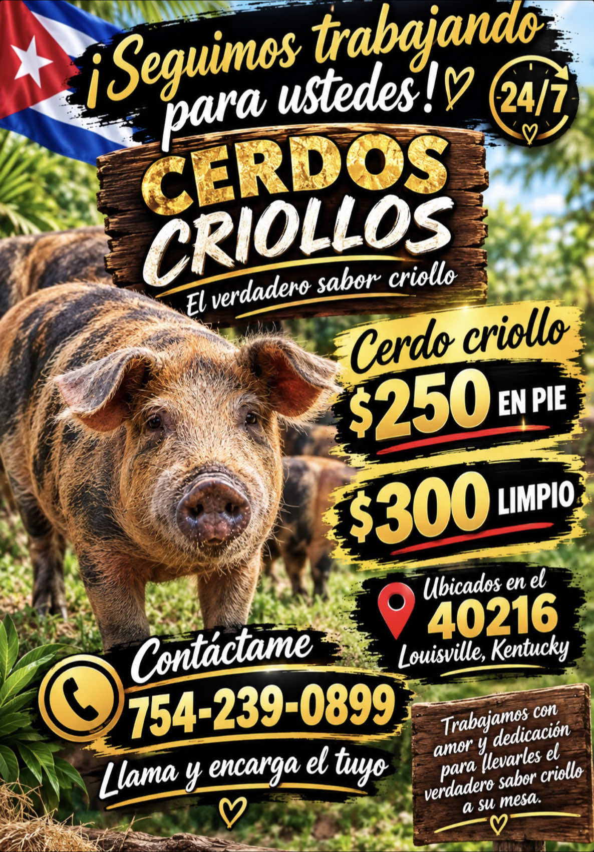 @cubanaporsiempreventas1