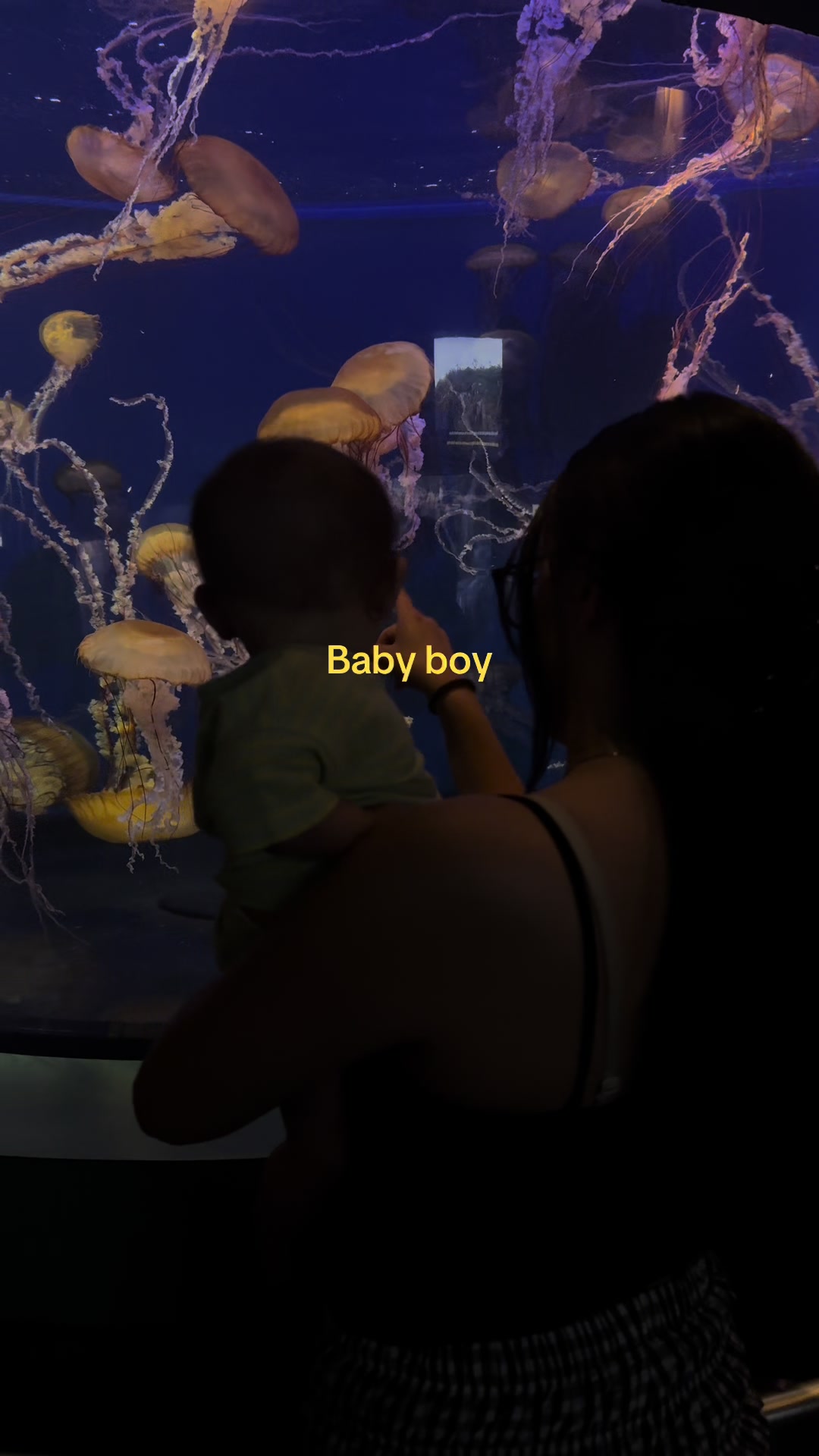 @kayla fonseca