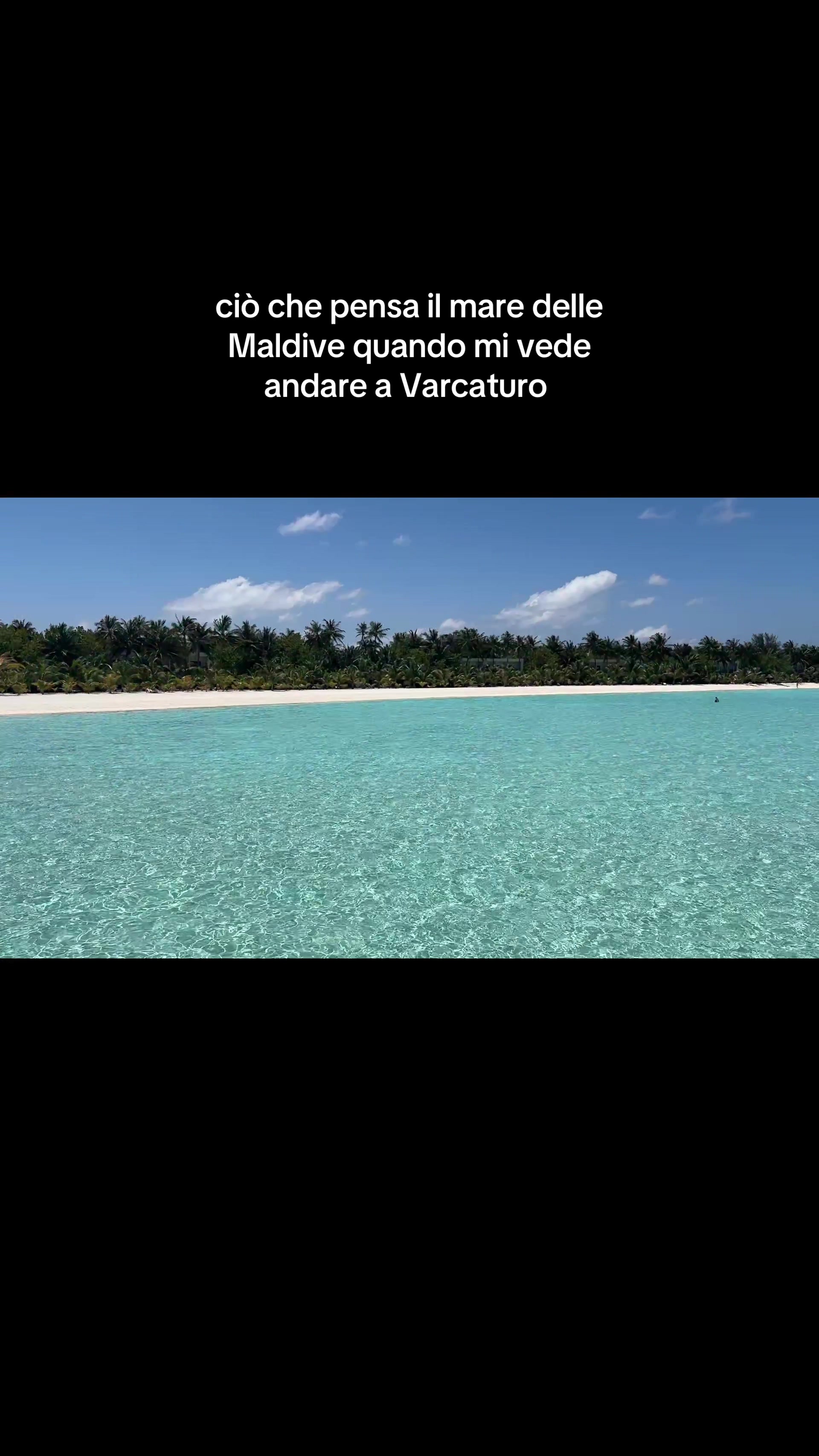 @flavia
