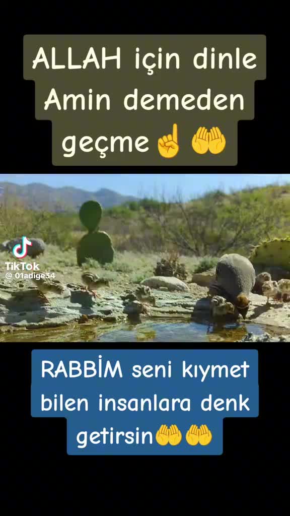 @G❤A🧿❤L🧿A❤D🧿I❤V🧿A❤212👑❤
