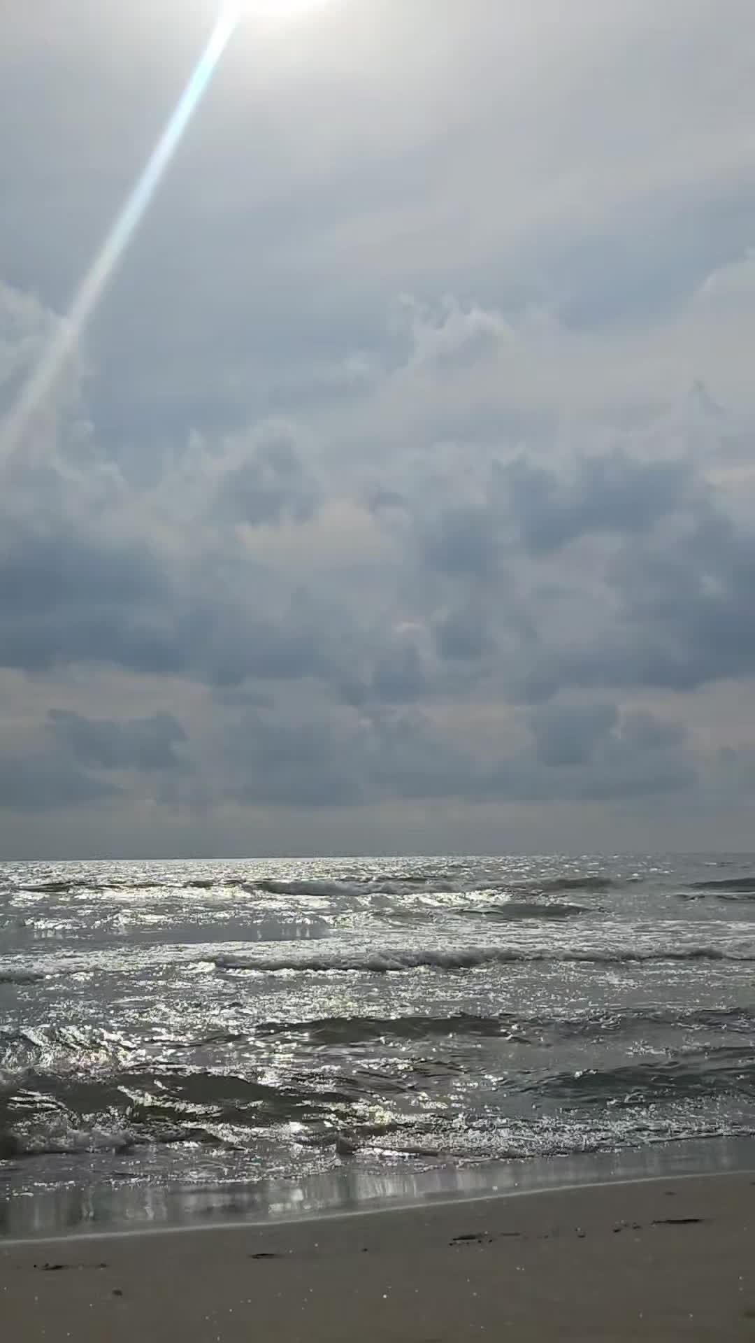 @mimmoscutto8