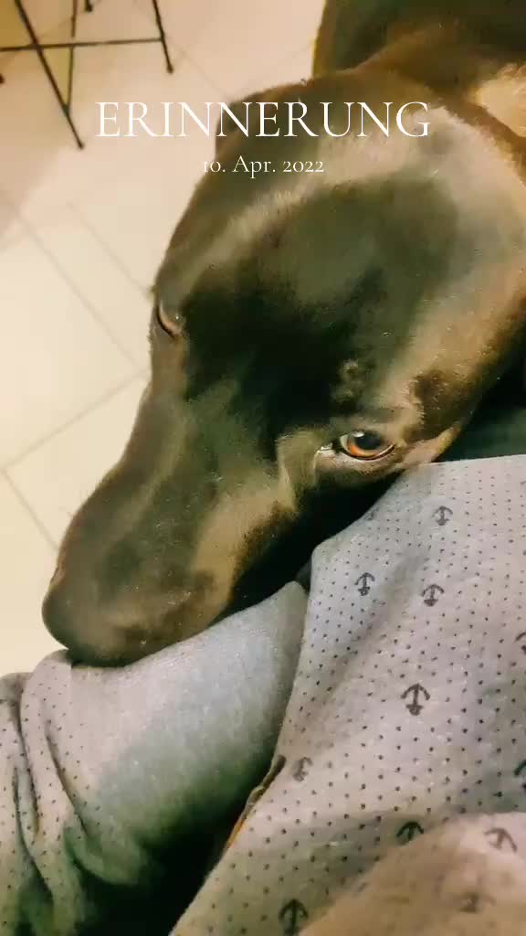 @🐕TiZi❤️🔥