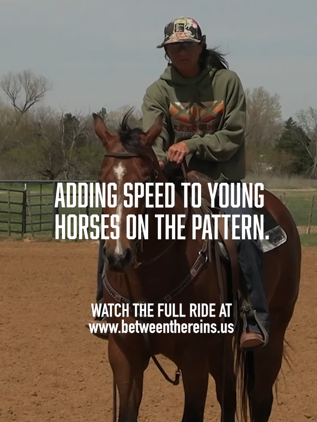 @Between The Reins