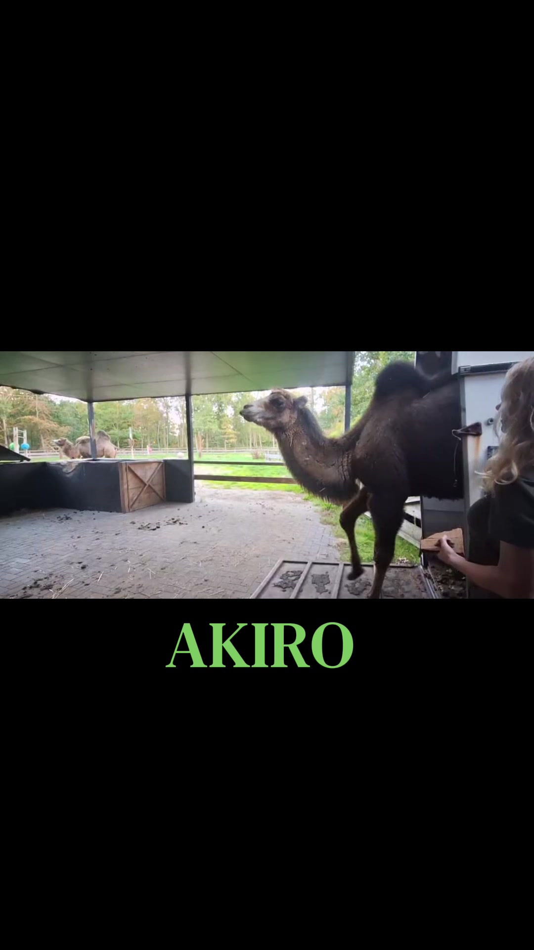 @Dierenpark Hoenderdaell