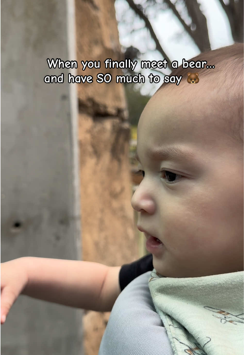 @thecoop.mom