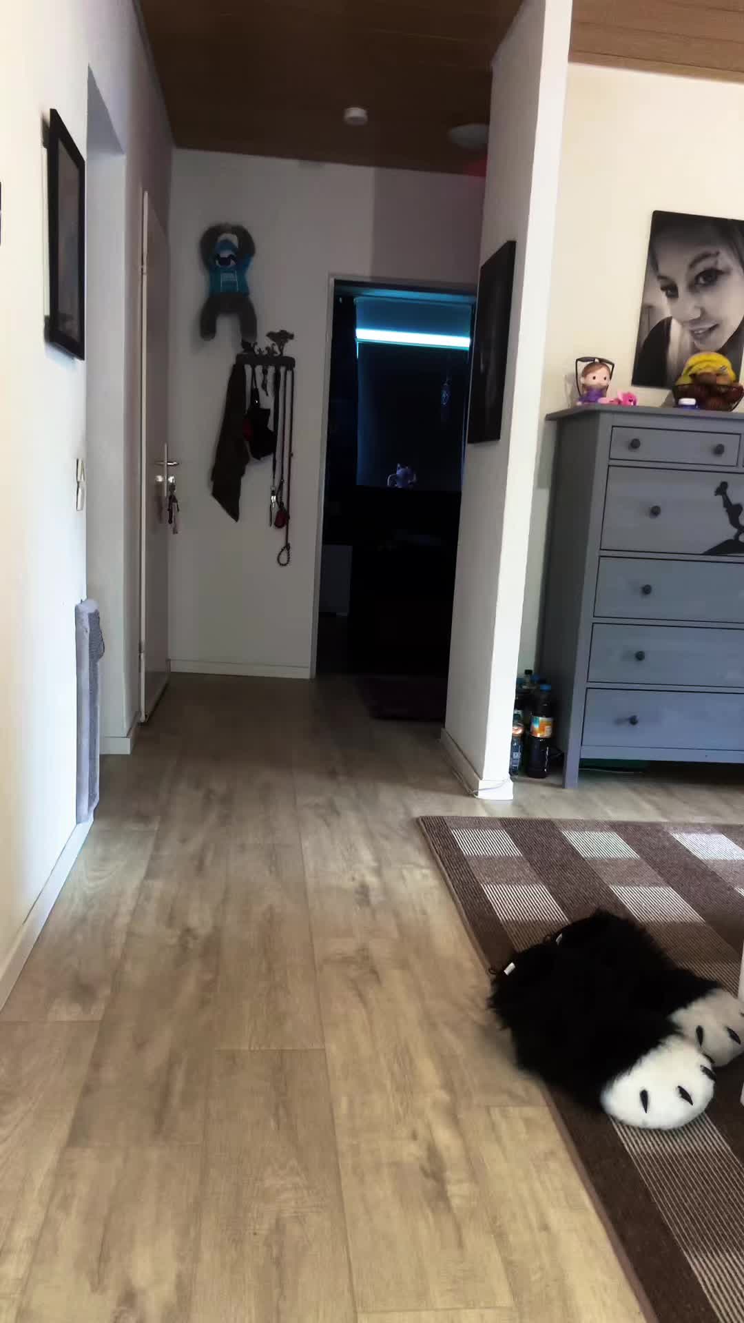 @Pinkybunny