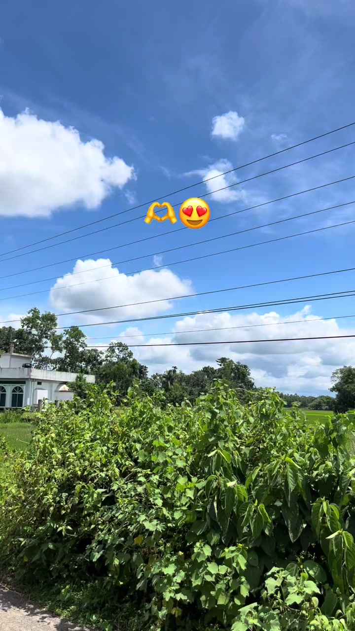 @Emi Ra🦋ر