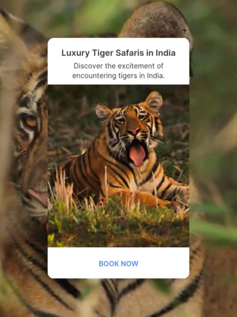 @India-Safaris.com