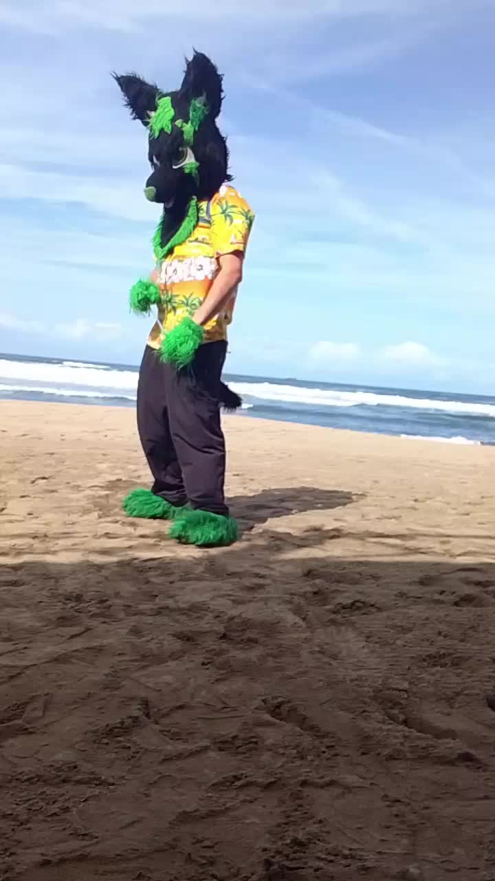 @baltowolf