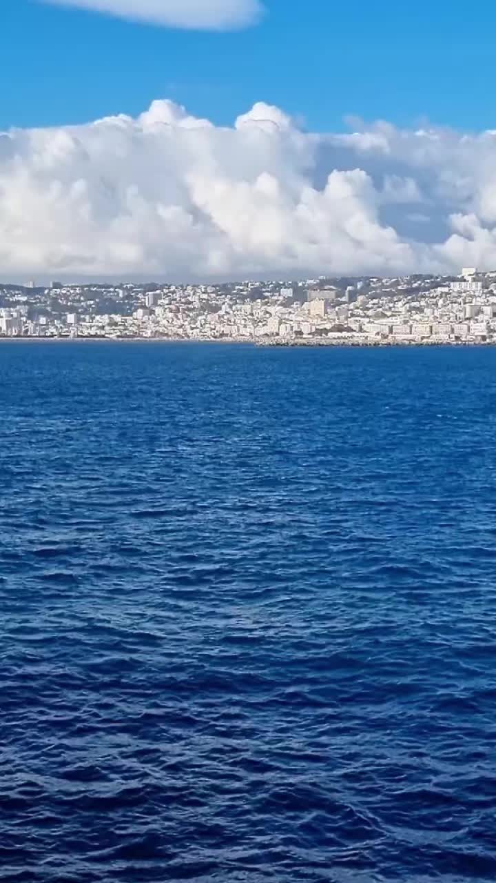 @Algérinotls 🇩🇿🇨🇵
