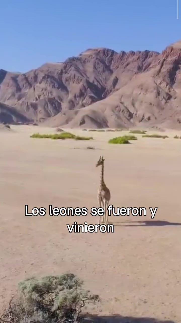 @unelunox