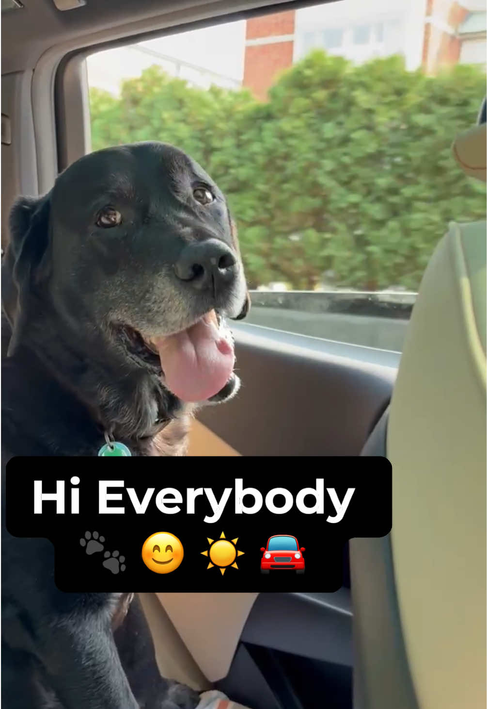 @rubenblacklab