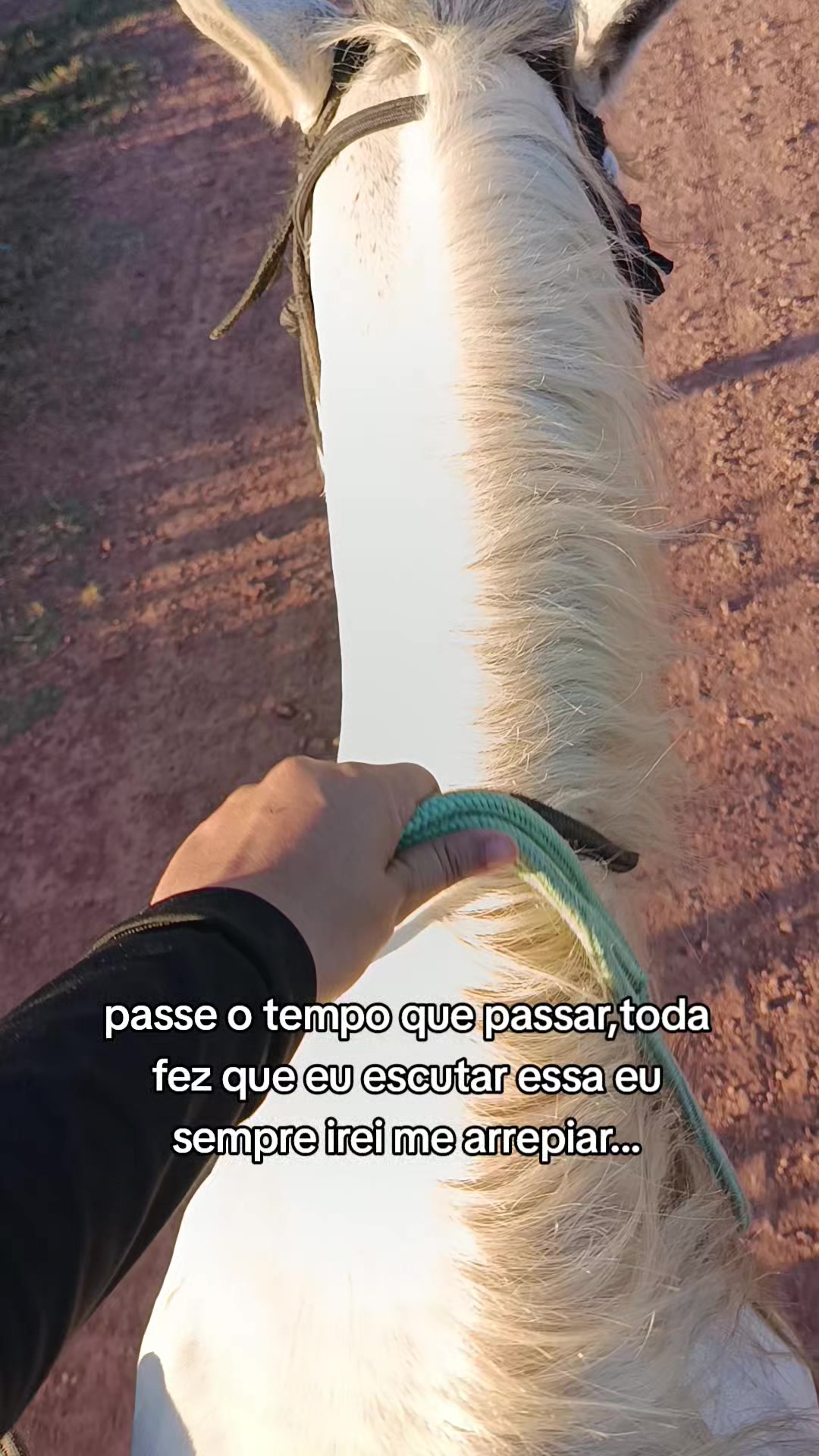 @Barbalho