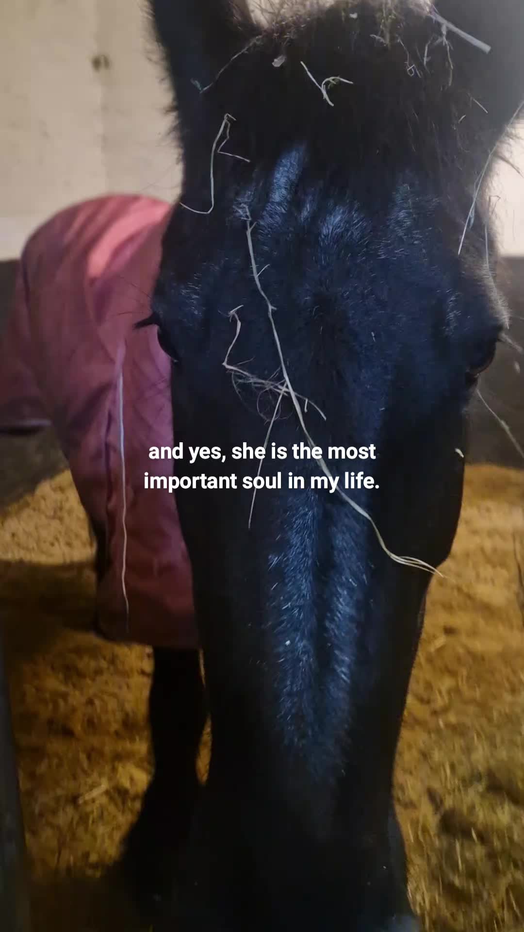 @Soñador