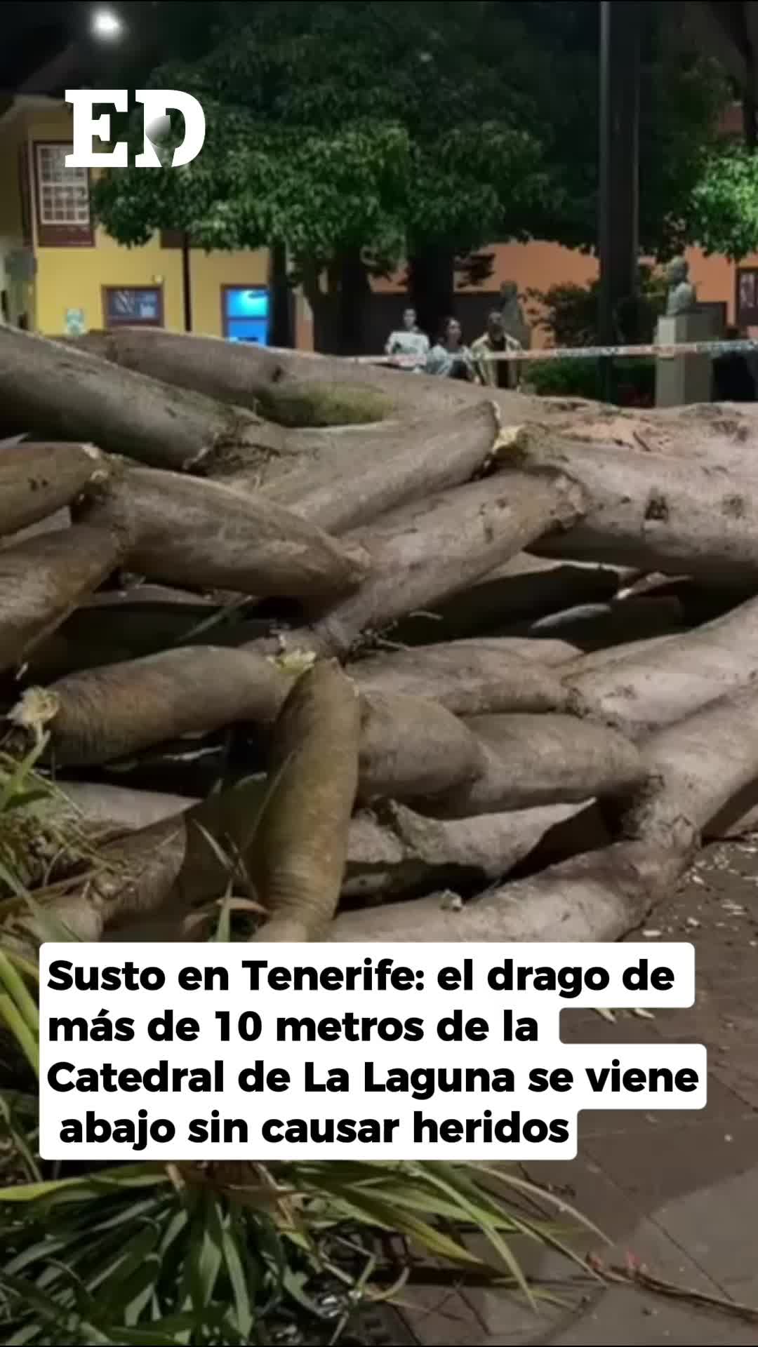 @El Día - Tenerife