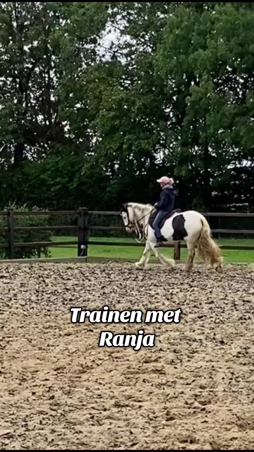 @Syrche Cordewener