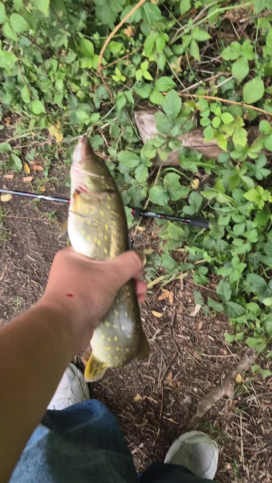 @j_than2 stroke