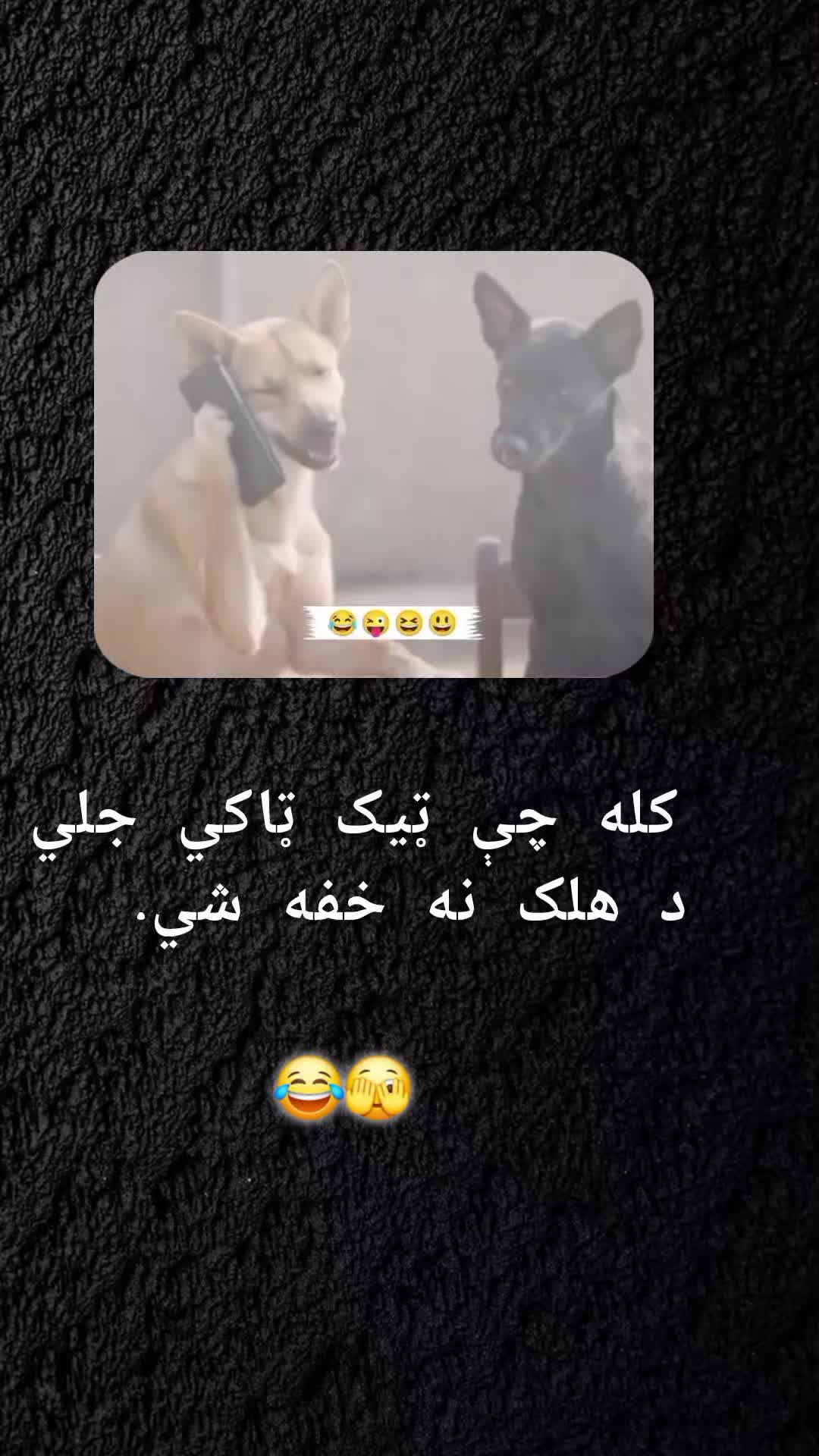 @رهــ🦢ــبر ◡̈⃝🖤